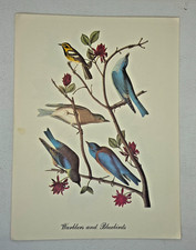 Vintage print audubon for sale  Oak Creek