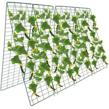Foldable cucumber trellis for sale  Seattle