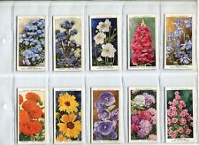 Garden flowers sudell for sale  SWINDON