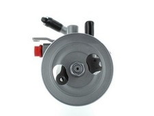 Hydraulikpumpe lenkung spidan gebraucht kaufen  Oberlungwitz