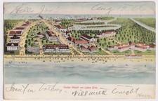 Ohio cedar point for sale  Ypsilanti