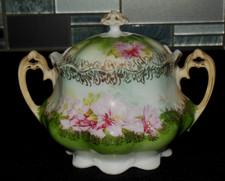 Austria hand pinted for sale  Tonawanda