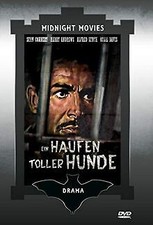 Haufen toller hunde gebraucht kaufen  Berlin
