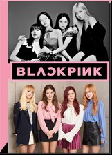 Diario blackpink scuola usato  Sant Angelo Lodigiano