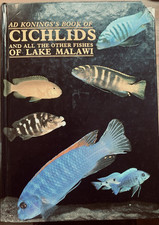 Cichlids fishes lake for sale  NEWRY