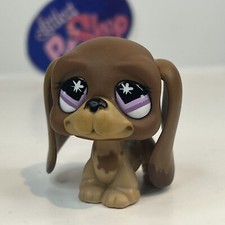 Basset hound dog for sale  Alexandria