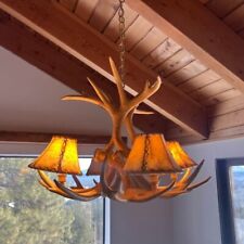 Genuine twisted antler for sale  Truckee