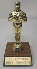 Hollywood best director for sale  Cicero