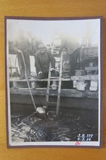 Altes foto helmtaucher gebraucht kaufen  Ansbach