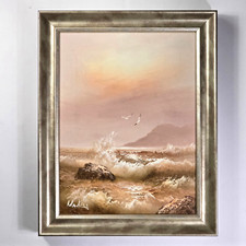 Vtg 1980 framed for sale  Auburn