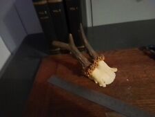 Roe deer stag for sale  KEIGHLEY
