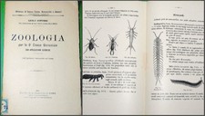 Carlo anfosso libri usato  Trasacco