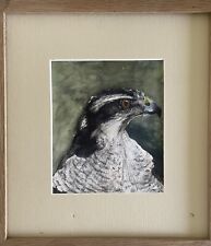 Goshawk painting original for sale  NEWMARKET