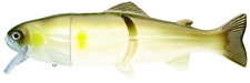 Castaic real bait gebraucht kaufen  Schwerte