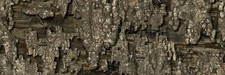 Realtree timber camo for sale  Forest City