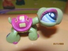 Petshop tortue 1310 d'occasion  Saint-Omer