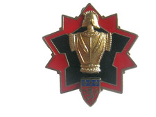 Insigne genie personnels d'occasion  Saint-Mamert-du-Gard