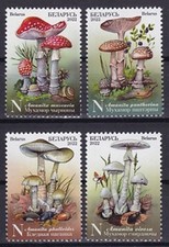 Belarus 2022 michel gebraucht kaufen Belarus 2022 michel gebraucht kaufen  Gernsheim