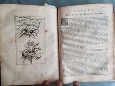 1716 georgii baglivi usato  Grugliasco
