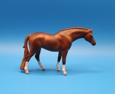 horse horse for sale horse horse for sale Las Vegas
