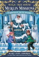 Winter ice wizard for sale  Montgomery