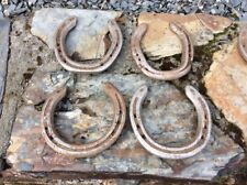 Horseshoe used horse for sale  LAUNCESTON