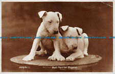 R159920 bull terrier for sale  PURLEY