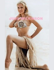 Usado, FOTO LINDAMENTE COLORIDA DE JUNHO WILKINSON #1 11 X 8,5 FRETE GRÁTIS comprar usado  Enviando para Brazil