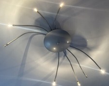 Günstiger deckenlampe arme gebraucht kaufen  Rosenheim