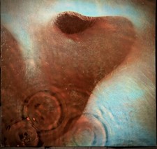 Pink floyd meddle usato  Pisa
