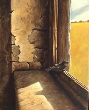 Antonio nunziante luci usato Antonio nunziante luci usato  Rivoli