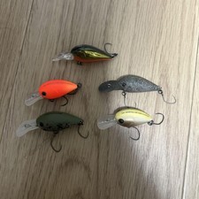 Area trout 5er gebraucht kaufen  Versand nach Germany