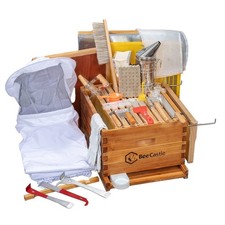 Frame bee hives for sale  Ashford