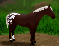 Wild horse islands usato Wild horse islands usato  Spedire a Italy