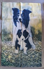 Pollyanna pickering designs for sale  TELFORD