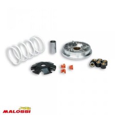 Variateur malossi scooter d'occasion  Bourg-Argental