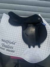 Thorowgood black pony for sale  DONCASTER