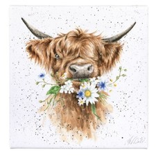 Wrendale daisy cow for sale  LEIGHTON BUZZARD