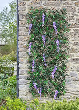 Smart garden expanding for sale  BRADFORD
