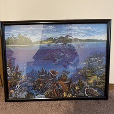 Sea life framed for sale  Edwardsville