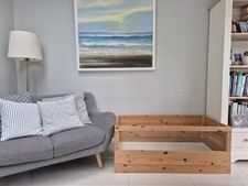 Indoor guinea pig for sale  LEIGH-ON-SEA