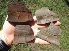 4 EXTINTOS PEDAÇOS GIGANTES DE CONCHA DE TARTARUGA FÓSSEIS DA FLORIDA ERA DO GELO OSSOS DE TARTARUGA @, usado comprar usado 4 EXTINTOS PEDAÇOS GIGANTES DE CONCHA DE TARTARUGA FÓSSEIS DA FLORIDA ERA DO GELO OSSOS DE TARTARUGA @, usado comprar usado  Enviando para Brazil