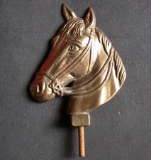 Cheval laiton mulet d'occasion  France