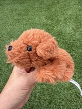 Russ petooties pet for sale Russ petooties pet for sale  HOCKLEY