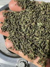 Perennial skirret seeds for sale  New Prague