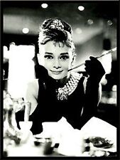 Audrey hepburn steel for sale  MARLBOROUGH