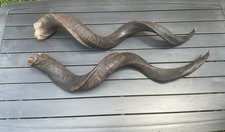 Pair africa african for sale  Willis