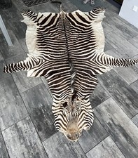 zebrafell gebraucht kaufen zebrafell gebraucht kaufen Memmingen