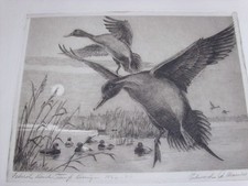 1961 federal duck for sale  Coloma