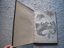 Rare recueil plantes d'occasion Rare recueil plantes d'occasion  Suresnes